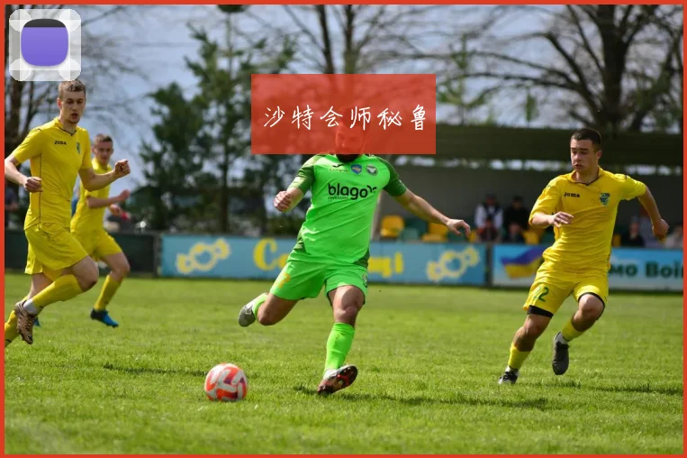 沙特会师秘鲁