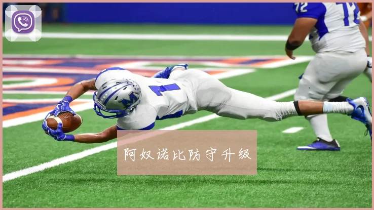 阿奴诺比防守升级