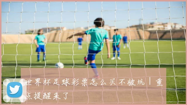 世界杯足球彩票怎么买不被坑｜重点提醒来了