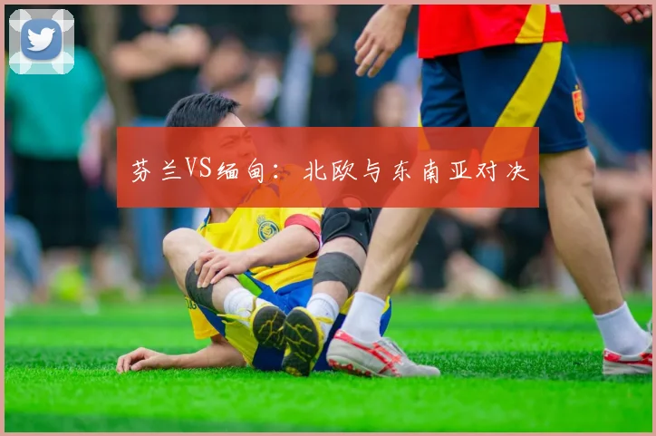 芬兰VS缅甸：北欧与东南亚对决