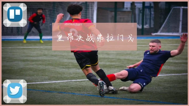 里昂决战弗拉门戈