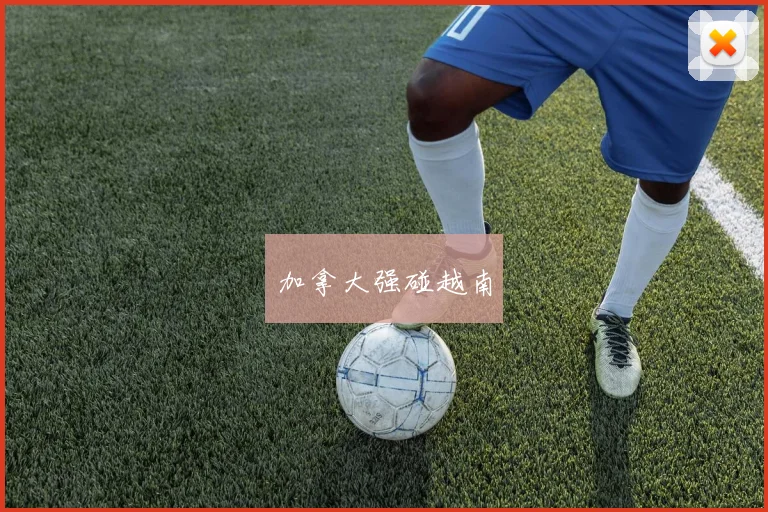 加拿大强碰越南