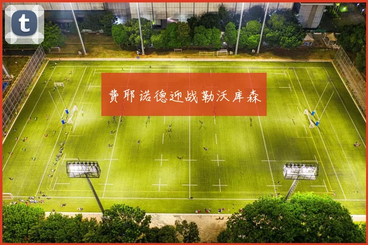 费耶诺德迎战勒沃库森