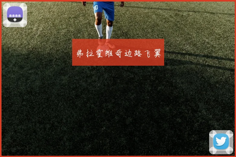 弗拉霍维奇边路飞翼