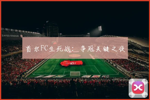 首尔FC生死战：争冠关键之夜