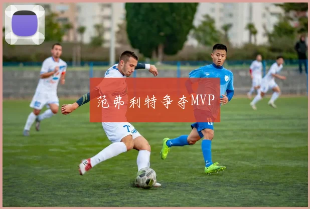 范弗利特争夺MVP