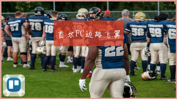 首尔FC边路飞翼