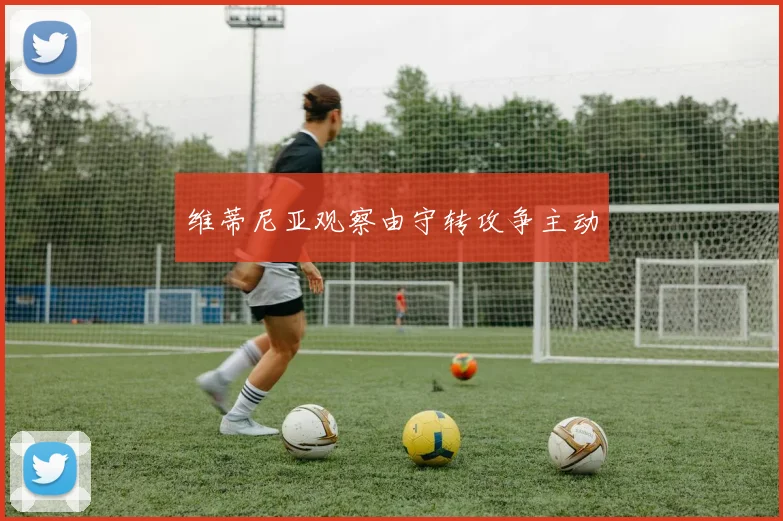维蒂尼亚观察由守转攻争主动