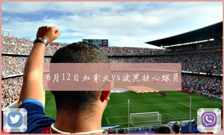 6月12日加拿大vs波黑核心球员