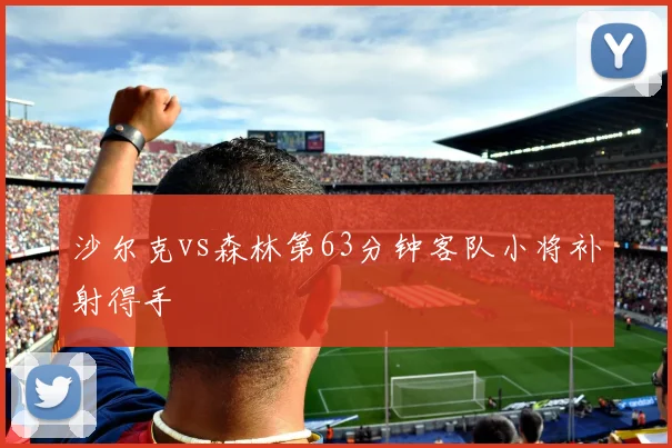 沙尔克vs森林第63分钟客队小将补射得手