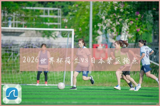 2026世界杯荷兰vs日本禁区抢点