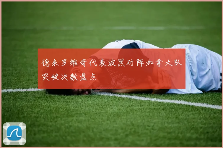 德米罗维奇代表波黑对阵加拿大队突破次数盘点